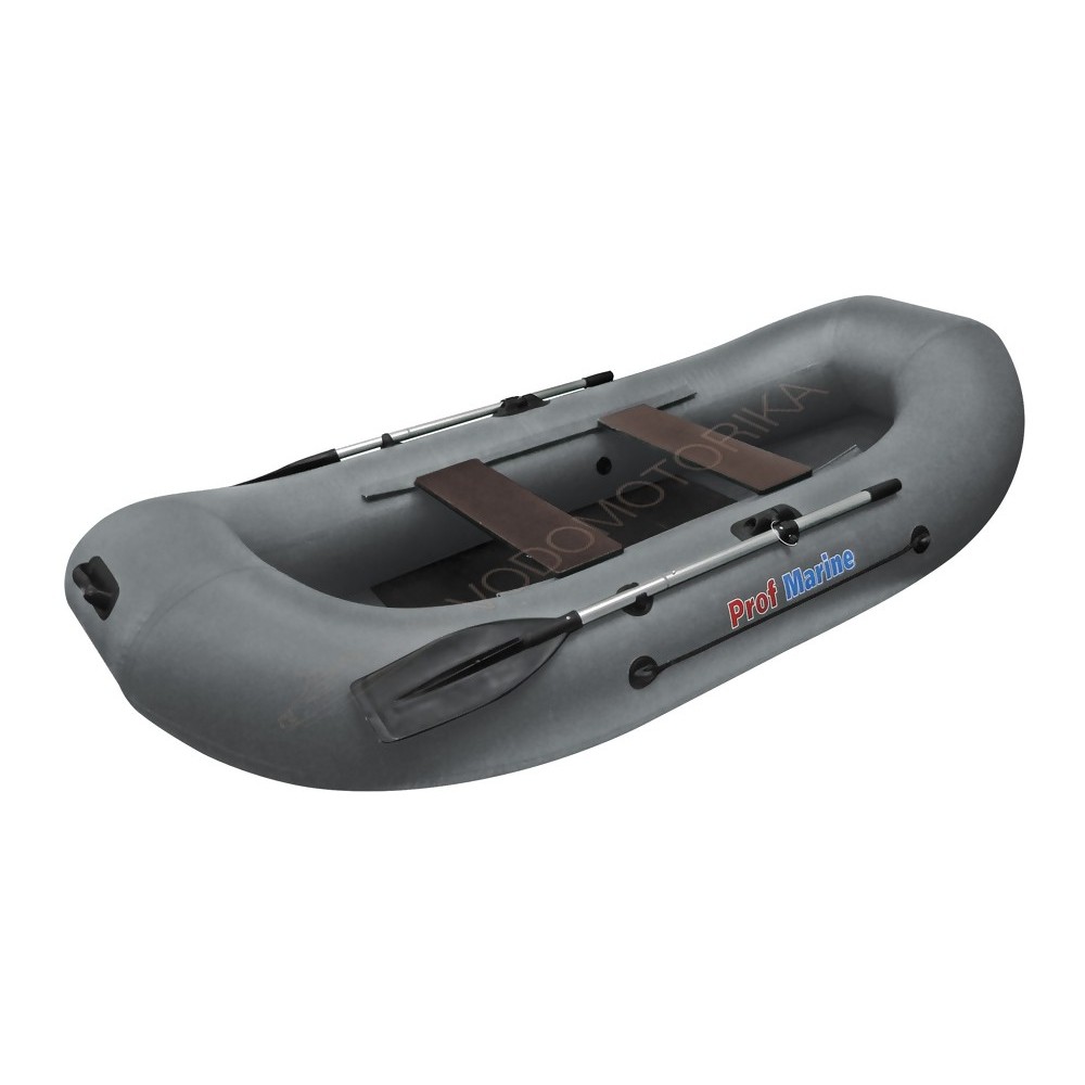 Лодка ProfMarine PM 300 серый