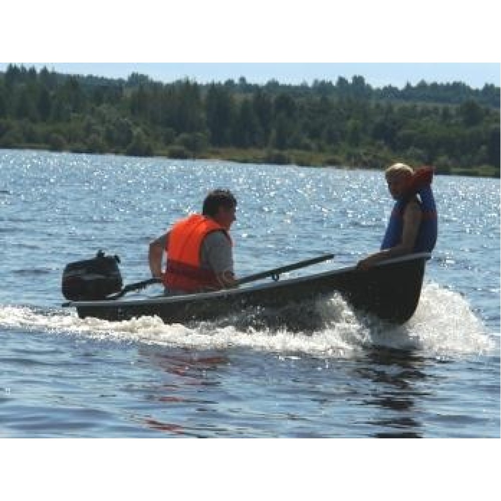 Лодка Афалина - 255