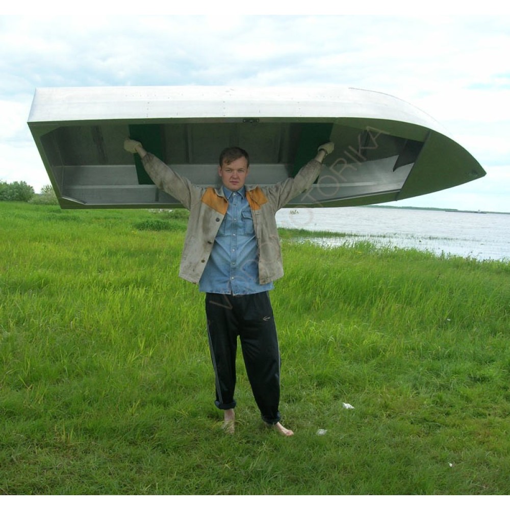 Алюминиевая лодка Малютка-Н 3.1м