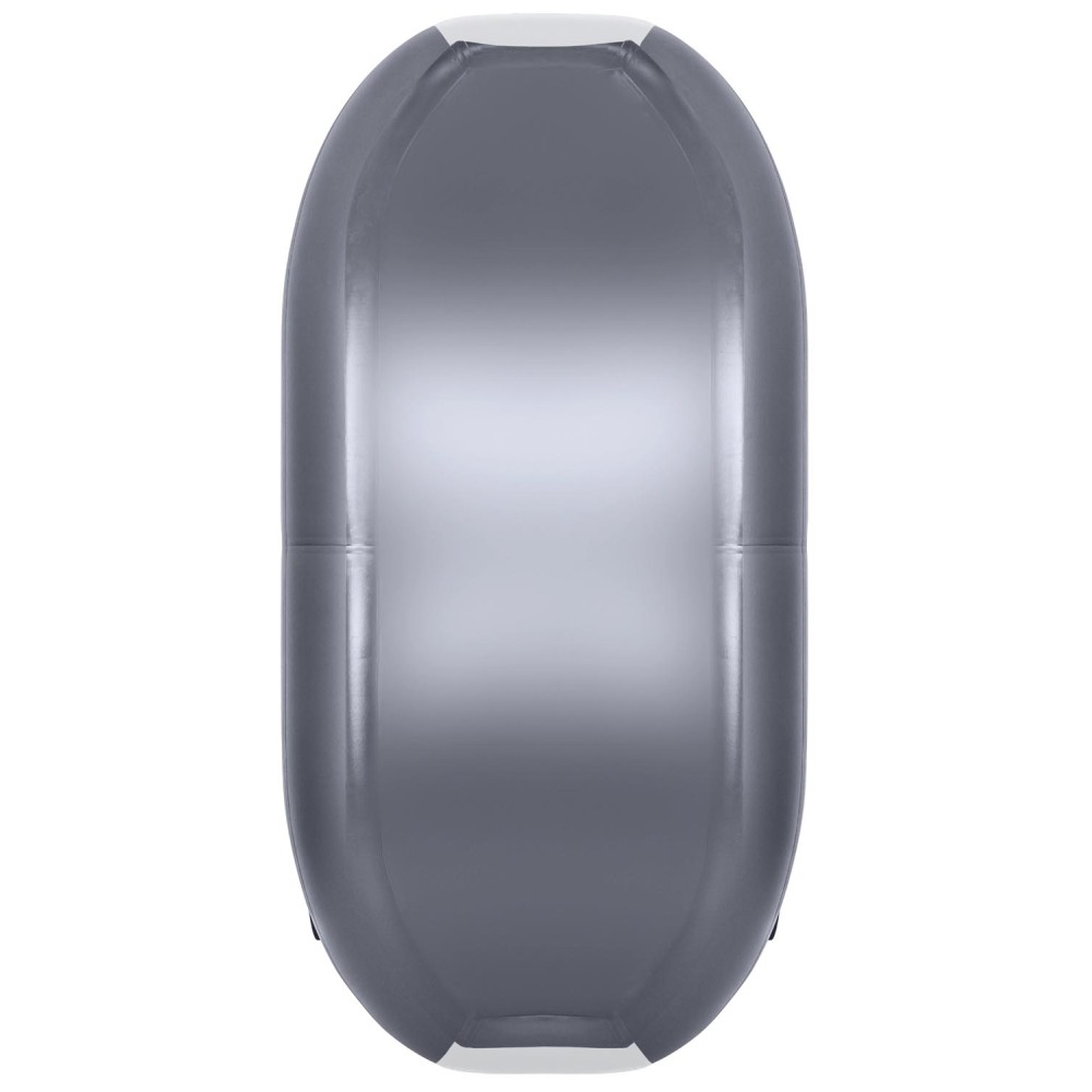 Надувная лодка Таймень LX 290