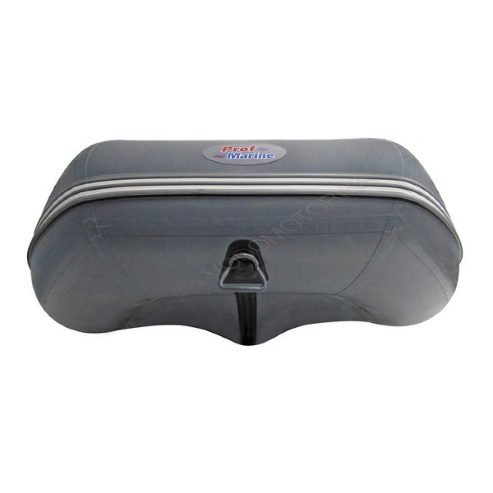 Надувная лодка ProfMarine PM 450 CL LUX