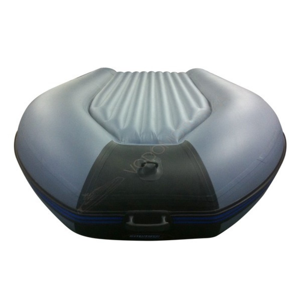 Надувная лодка ProfMarine РМ 300 Air Economic