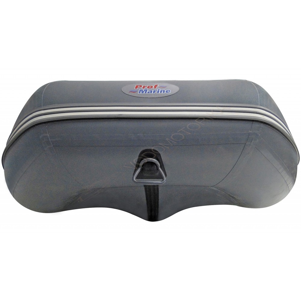 Надувная лодка Profmarine PM 320 EL 12 серый