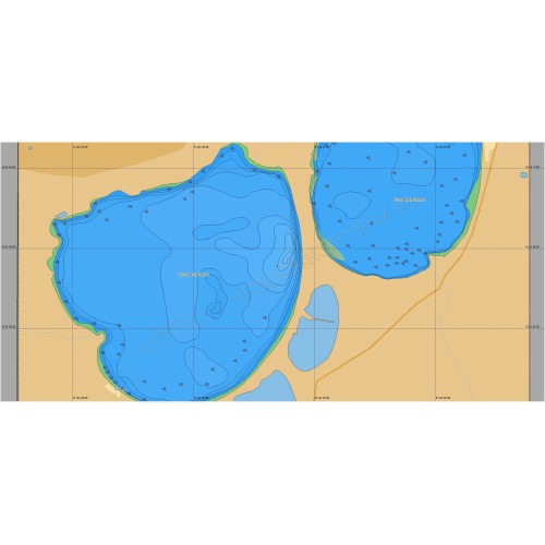 Карта Lowrance RS-N238