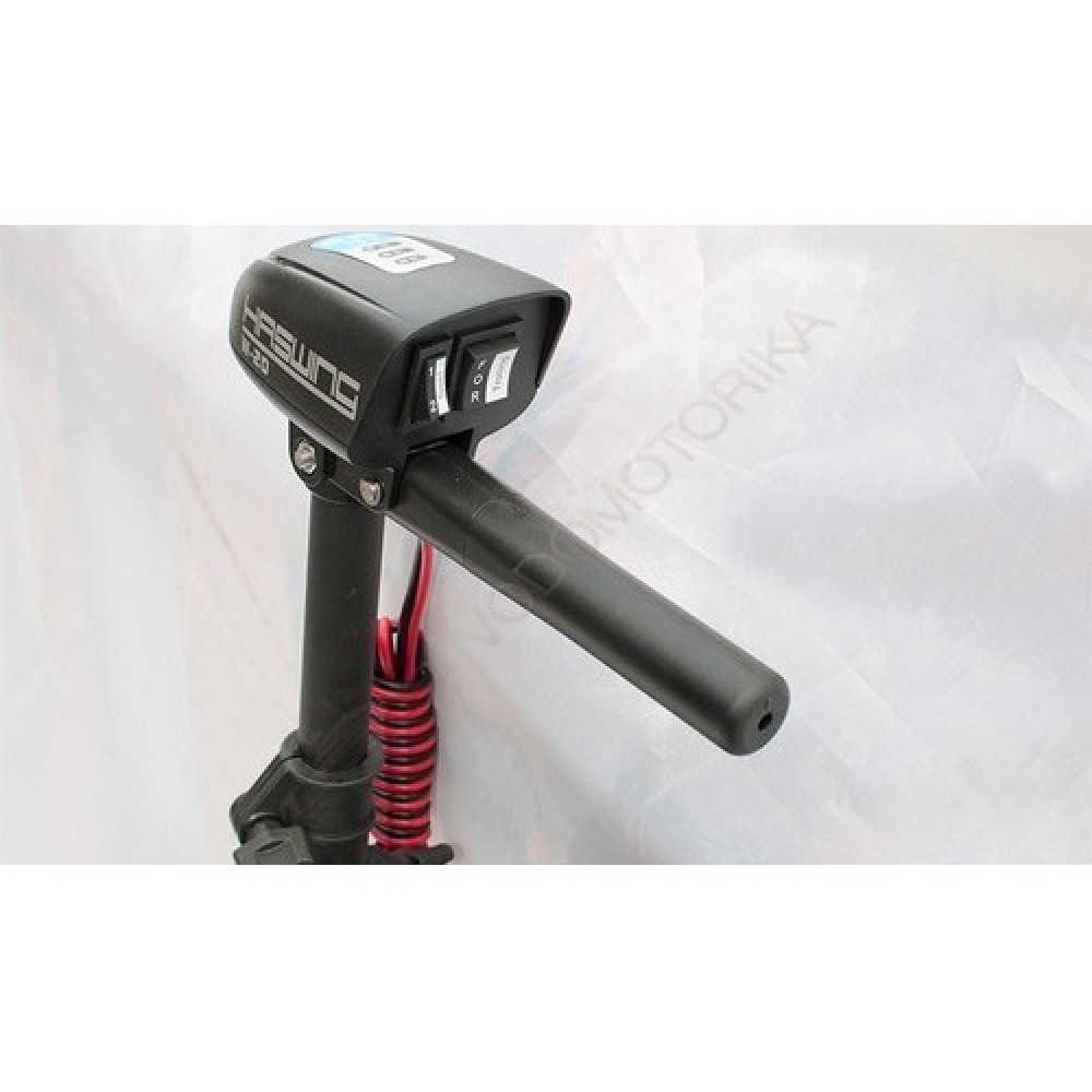 Электромотор лодочный Haswing W-20